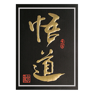 产品大图