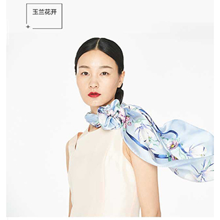 产品大图